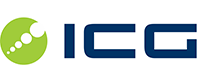 International Consulting Group